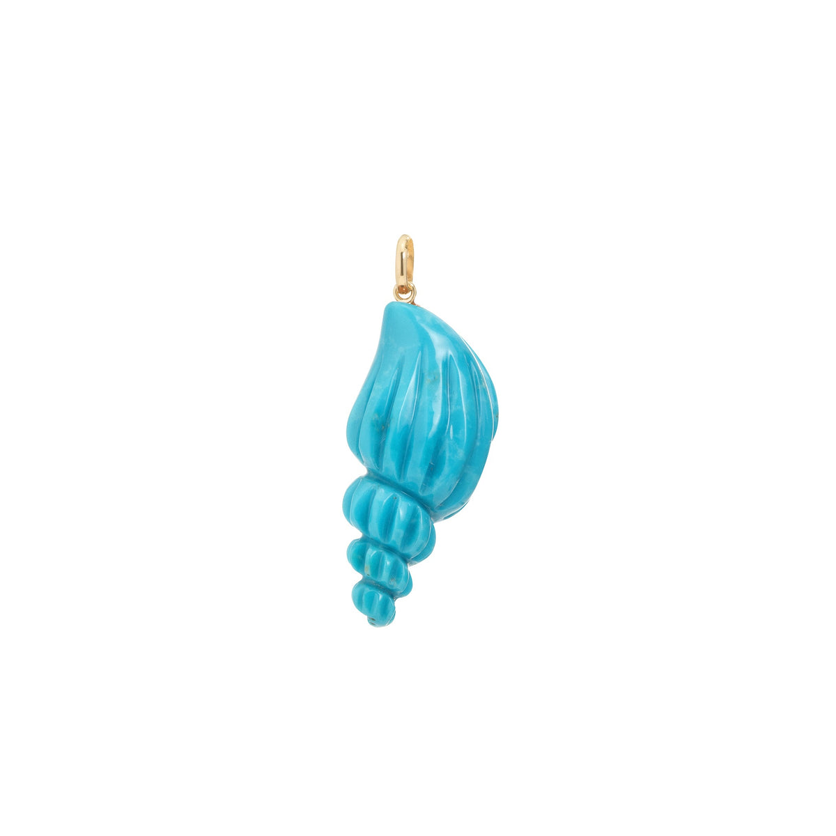 Turquoise Shell