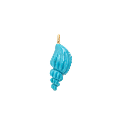 Turquoise Shell