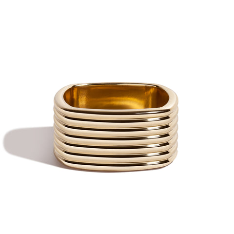 Ani Ring